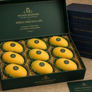 White Chaunsa (Late) Mangoes
